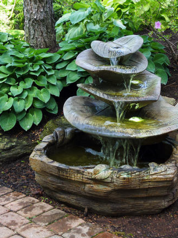 Giant Leaf Fountain  