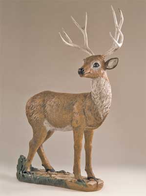 Mule Deer Buck