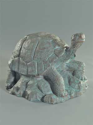 Tortoise