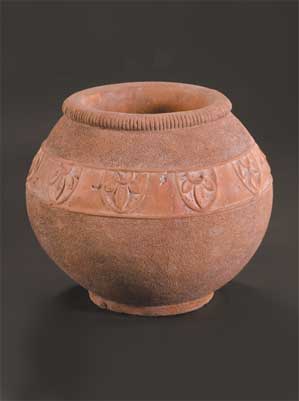 Cobra Pot