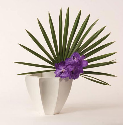 Fiori Planter - Roger Thomas Collection