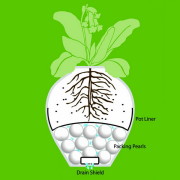 packingpearls-diagram