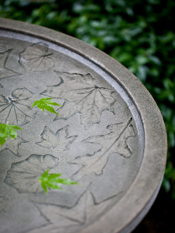 Autumn Leaves Fountain