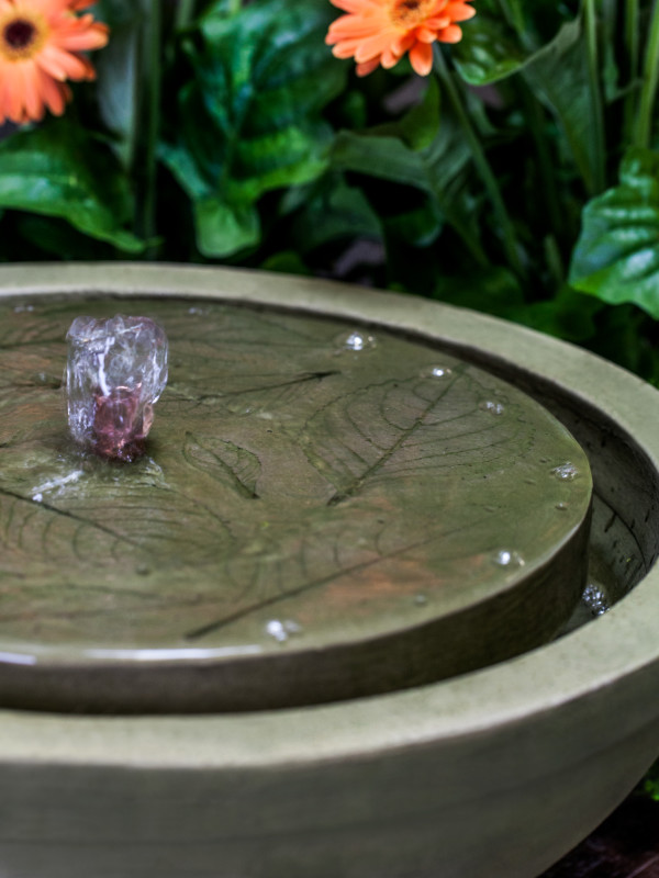 Hydrangea Leaves Garden Terrace Fountain