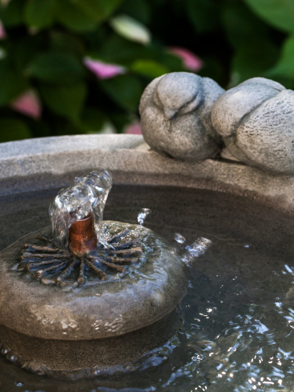 Paradiso Fountain