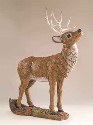 Mule Deer Buck, Head-Up