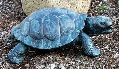 Turtle Fountain