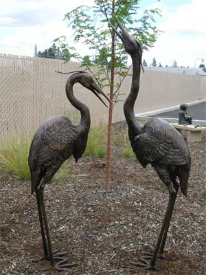 Two Large Herons/Pair