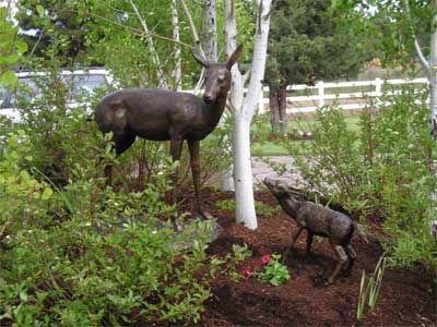 Doe with Baby on Base