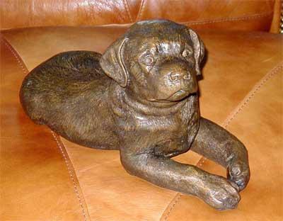 Puppy